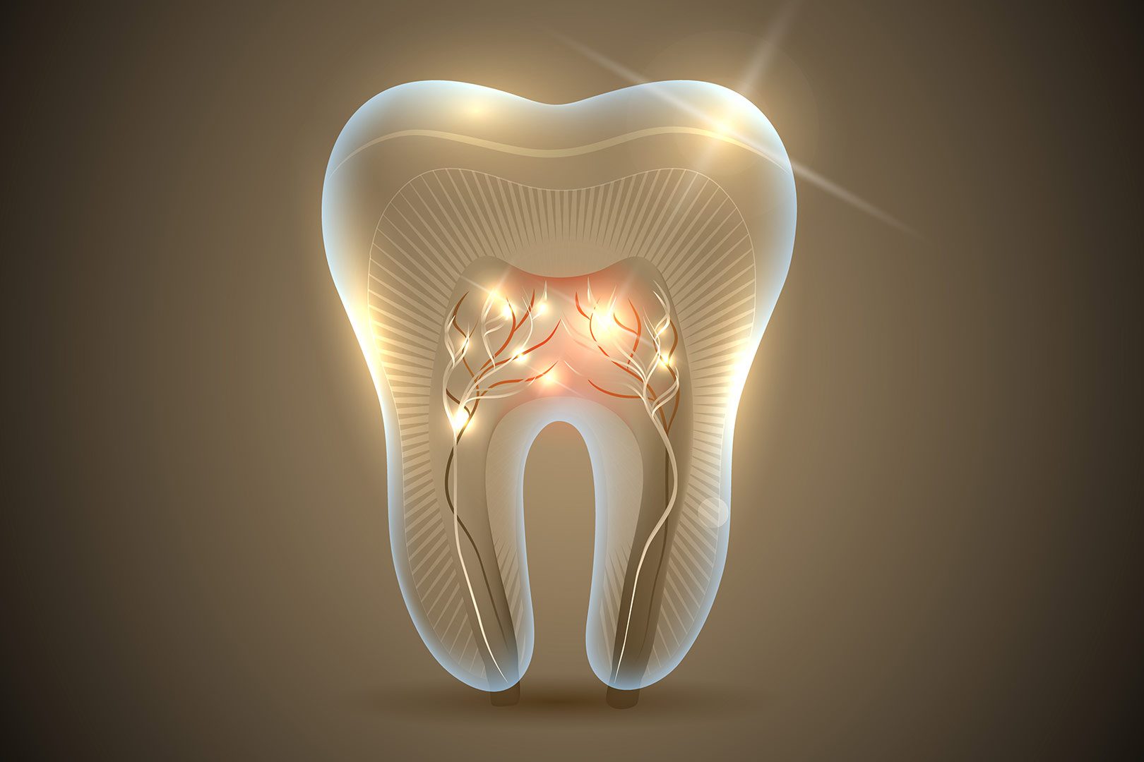 Root canal therapy services | Prairie Dental | General & Family Dentist | Leduc, AB